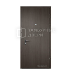 Дверь порошок ТД-36